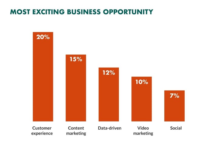 customer-experience-is-most-exciting-business-opportunity